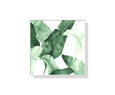 Tropical escape