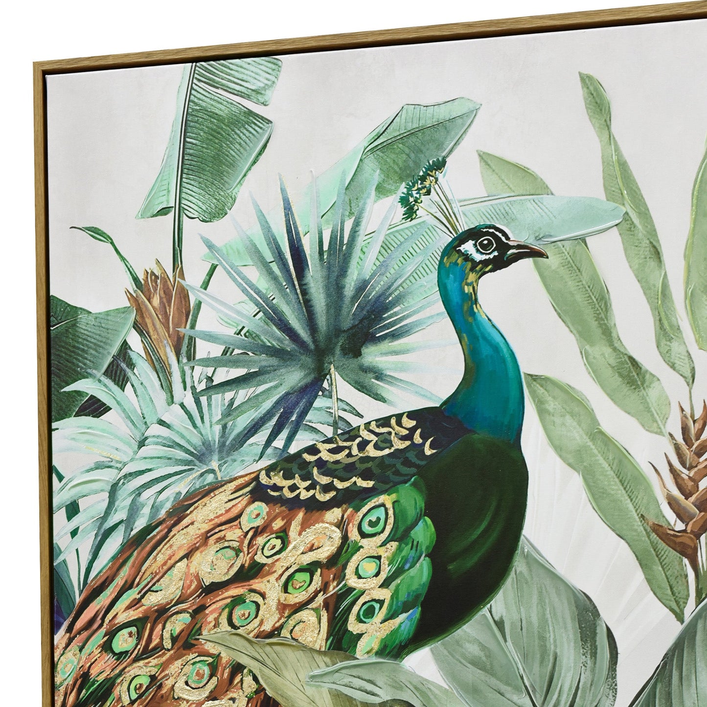 Majestic Plumage – Peacock in the Wild
