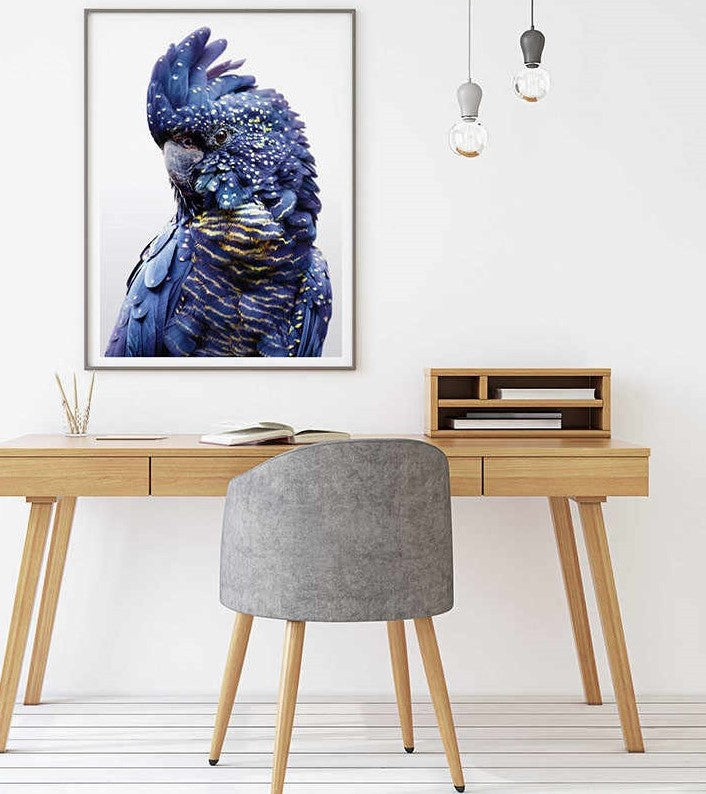 Black cockatoo wall art on canvas in a sleek black floating frame, ready to hang. Detailed feather textures and bird silhouette rendered in monochrome tones—a modern, statement wildlife piece