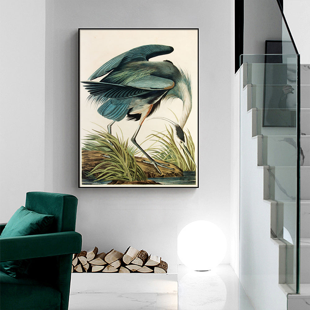 Blue Heron Study – Vintage Naturalist Print