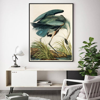 Blue Heron Study – Vintage Naturalist Print