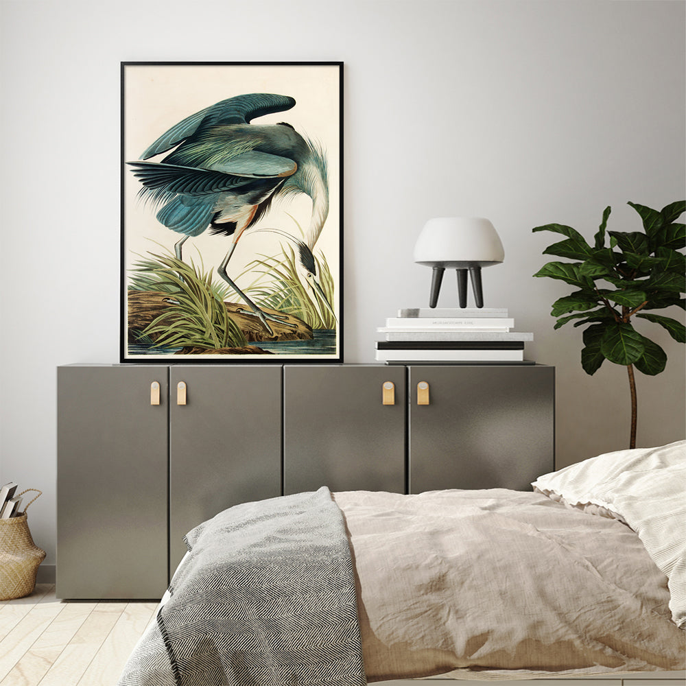 Blue Heron Study – Vintage Naturalist Print