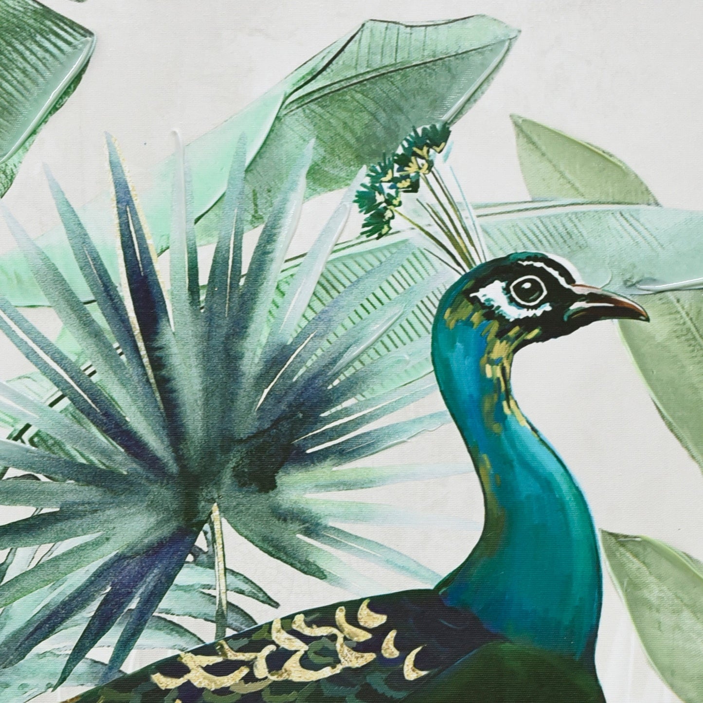 Majestic Plumage – Peacock in the Wild